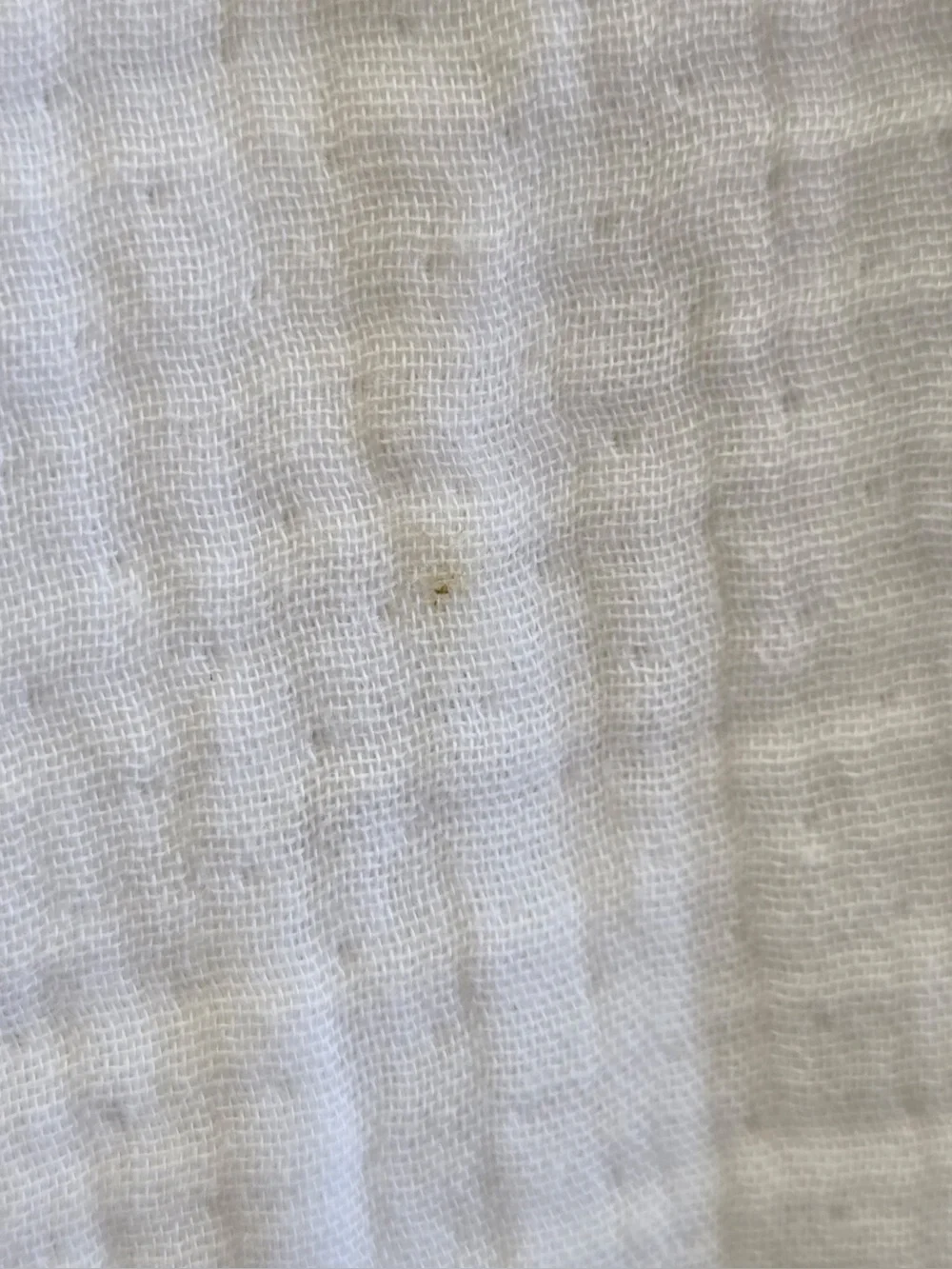 QUINCE Organic Cotton Gauze Dream Quilt King/Cal King White 0712